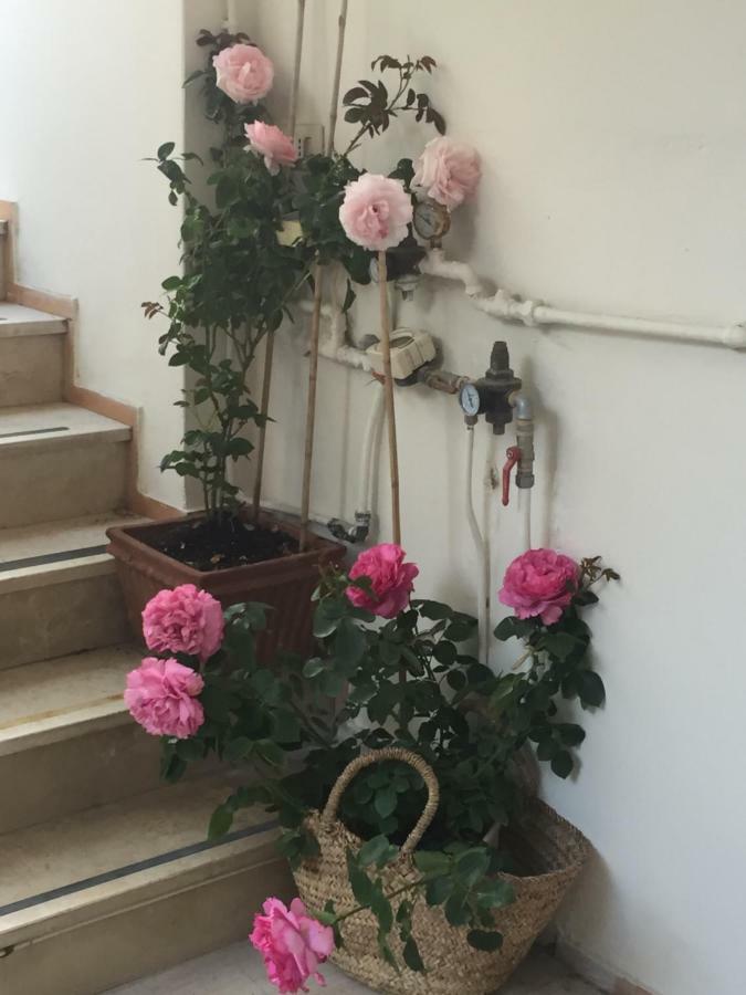 Villa La Quercia เมตา ภายนอก รูปภาพ