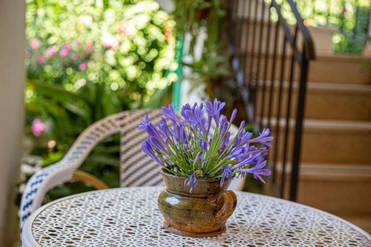 Villa La Quercia เมตา ภายนอก รูปภาพ