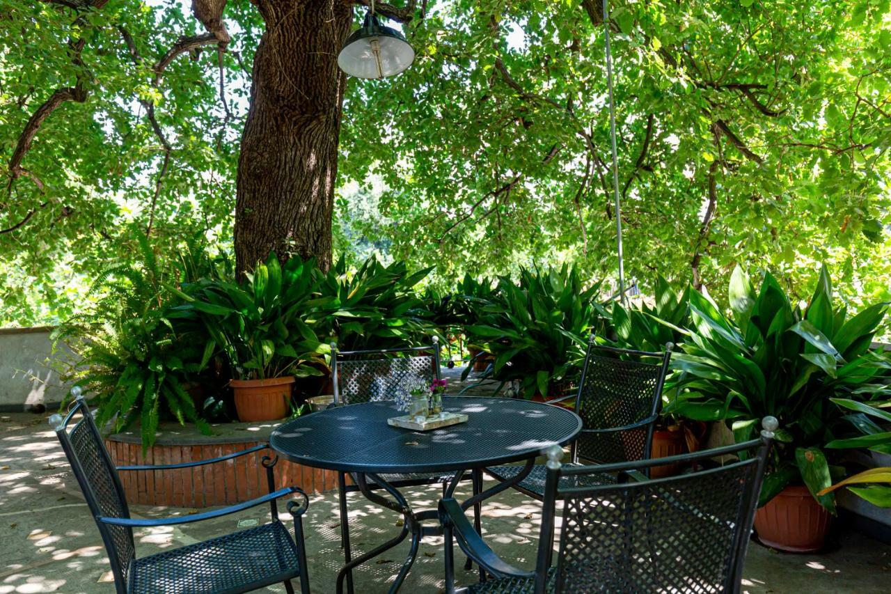 Villa La Quercia เมตา ภายนอก รูปภาพ