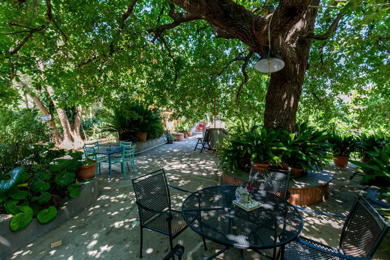 Villa La Quercia เมตา ภายนอก รูปภาพ